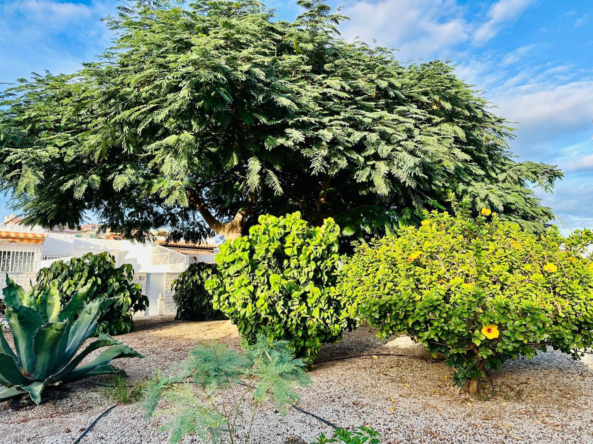 Casa Una Bungalow Delux Arona  Extérieur photo